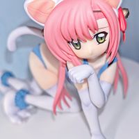 桂雏菊猫猫💙🤍💖