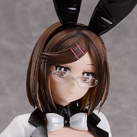 B-style 忍者与杀手二人组的日常生活 古贺木叶 兔女郎