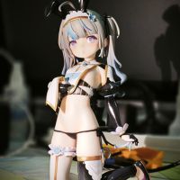 在🐈受屋480淘的 有点瑕疵