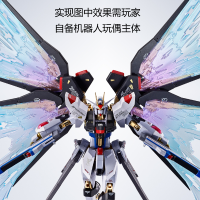 METAL ROBOT魂 ＜机动战士系列＞ 强袭自由高达［Re:Coordinate］专用光之翼与高速火力全开特效配件包