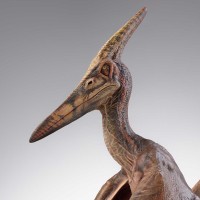 侏罗纪公园 3：翼龙道具复制品