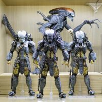 凑齐avp1+2。可惜没有合适的独狼