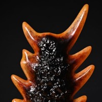 红莲哥斯拉背鳍