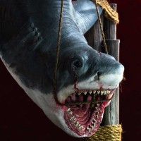 《大白鲨》1:12 比例模型