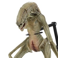 NECA 异形 7 英寸比例可动人偶豪华版 异形4:复活 新生儿（逆种）