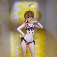 BEACH QUEENS Fate/EXTRA 尼禄·克劳狄乌斯 Saber EXTRA