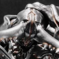 虫系列 人工进化实验体 B0199大王虎甲