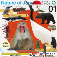 日本自然 日本的生物1