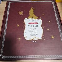 野上纱罗 兔女郎