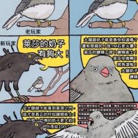 两个月的考古寻宝(入坑历程)