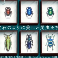 STC德国盒磁铁系列4