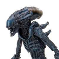 异形大战铁血战士 - 蛛网异形 7 英寸比例可动人偶（电影配色）