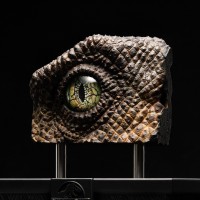 《侏罗纪公园》迅猛龙眼睛道具复制品