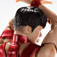 S.H.Figuarts T.M.Revolution   RED HOT LIMITED EDITION