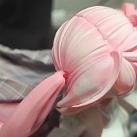 樱花未来 赏花装扮ver.