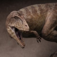 鲨齿龙 1996版 gk雕像