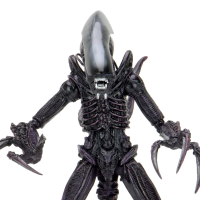 异形大战铁血战士 - 剃刀利爪异形 7 英寸可动人偶