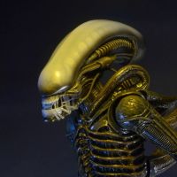 异形 – 1/4 比例可动人偶 – 1979 异形