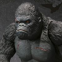 S.H.MonsterArts  金刚 《金刚：世界第八奇观》