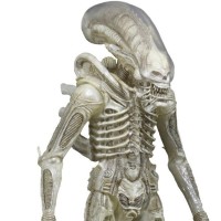 NECA 异形 1/4 比例半透明概念原型套装 可动人偶