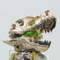 凶猛少女系列 BONEGIRL 1/6可动人偶 雇佣枪兵 雷克斯