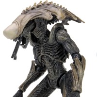 异形大战铁血战士（街机游戏） - 蛹化异形 7 英寸可动人偶