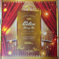 阿姨战队—兔子连者，赛莉卡！