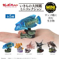 生物大图鉴迷你收藏系列 栖息在珊瑚礁的生物