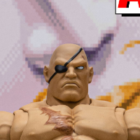 少年街霸3 沙加特 “ STORM ARENA”