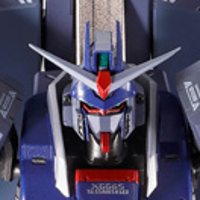 METAL ROBOT魂   ＜机动战士系列＞ 传说高达