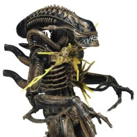 《异形》第12系列 - 战损版异形战士7英寸比例可动人偶（棕色）