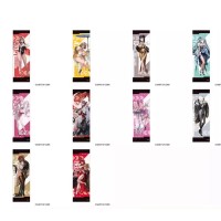 胜利女神：新的希望  B1半幅挂画