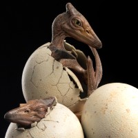 侏罗纪公园3 孵化中的翼龙