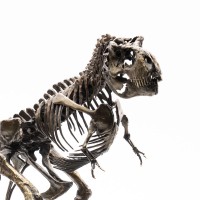 霸王龙青铜骨架