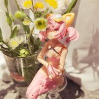 路边野花配小猫