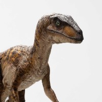 《侏罗纪公园》1:4比例迅猛龙原型雕塑