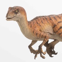 雄性迅猛龙模型 - 侏罗纪世界：失落的世界