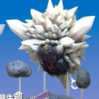 战斗生命体 太空哥斯拉 飞行形态