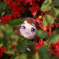 蚱蜢乐队！大家我都喜欢哦！