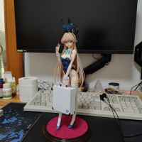 太大只差点放不进柜子了