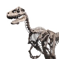 侏罗纪公园1:4 比例迅猛龙青铜雕像