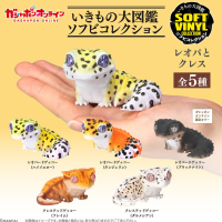 生物大图鉴 软胶收藏系列 豹纹守宫与睫角守宫