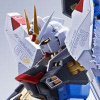 METAL ROBOT魂 ＜机动战士系列＞ 强袭自由高达 [Re:Coordinate]