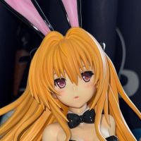 345入的 但是到手后感觉头发颜色不大对 很奇怪