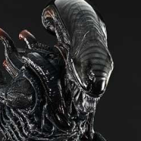 展览馆线XL 异形:夺命舰 焦灼异形