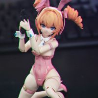 溯行蕾奥妮 异色版