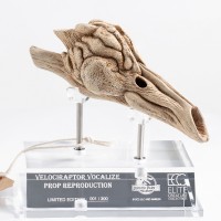 迅猛龙共鸣腔-道具复制品