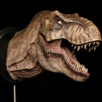 1/15雌性暴龙头像