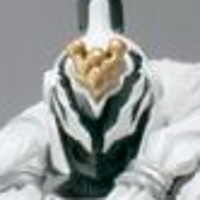 S.H.Figuarts  气象掺杂体