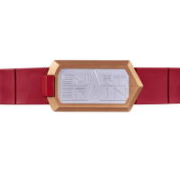 CSM智脑腰带（暂译）